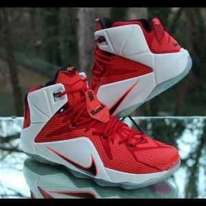 Lebron 12 "heart Of A Lion"